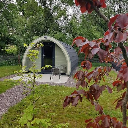Mount Hillary Holiday Pods Cork Luaran gambar